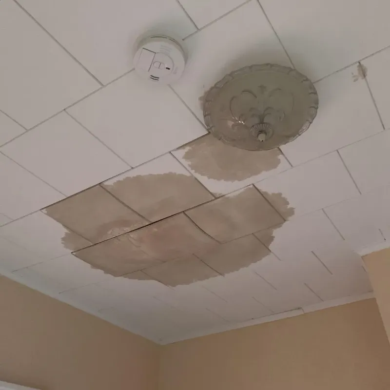 Ceiling Water Damage Repair in Douglass, KS