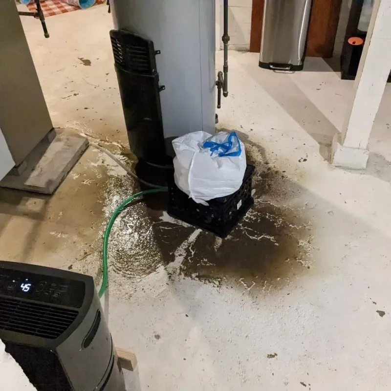 Sewage Backup Cleanup Service in Douglass, KS